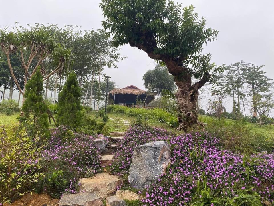 Ho Tam Homestay Hòa Bình Buitenkant foto